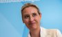 Überraschender Besuch im Kreis Gütersloh: AfD-Chefin Alice Weidel zurück in ihrer Heimat