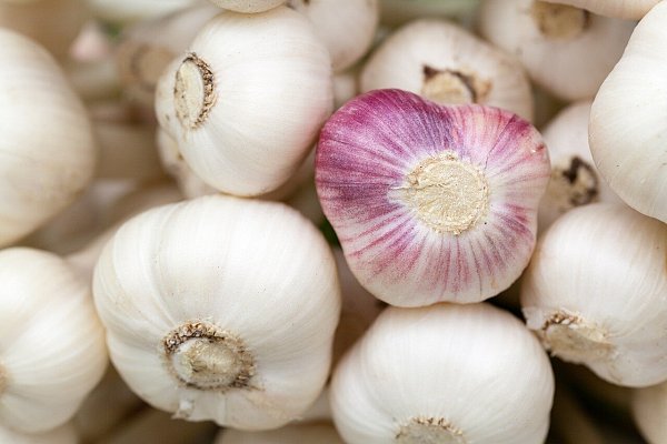 Die Knoblauchhochzeit nach 33,3 Ehejahren ist ein eher ungewöhnliches Jubiläum, das von Eheleuten eher scherzhaft gefeiert wird. - © Symbolbild:Pixabay
