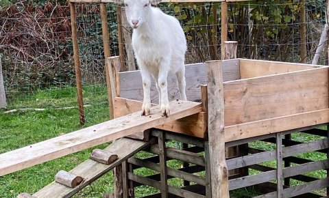 Tiny House im Kreis Gütersloh