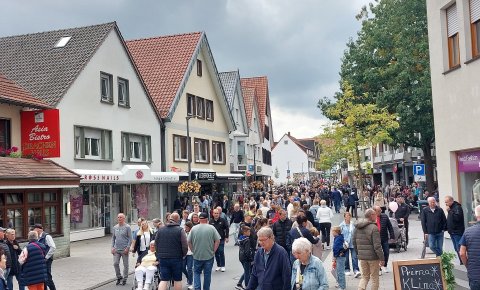 Katharinenmarkt in Delbrück 2025