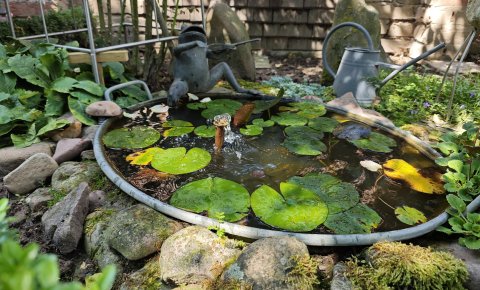 Das Gartenidyll von Ludger und Martina Jochmaring aus Brakel
