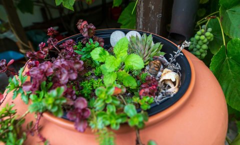 Schönster Garten in OWL: Versmold