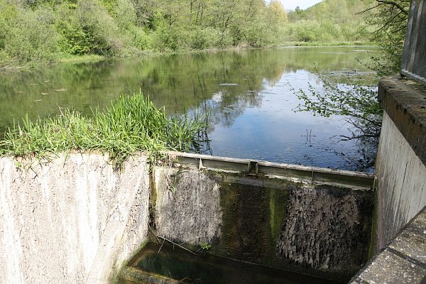Über die Staumauer am Vorstausee läuft nicht wie geplant Wasser zur Altenau ab. - © Uwe Müller