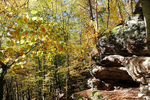 Schön: Die Hollenkammer ist ein beliebtes Ausflugsziel. - © Hubert Rösel