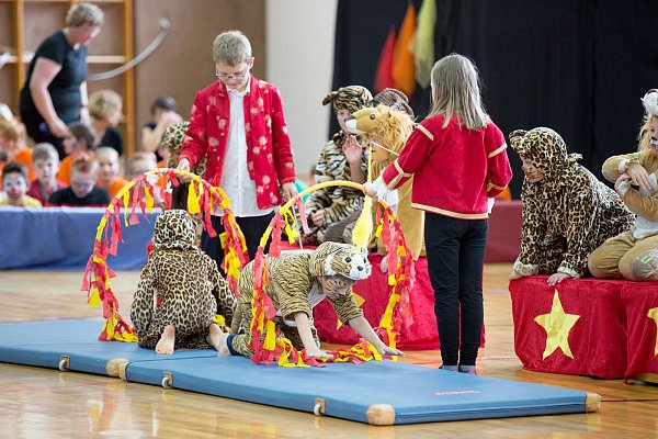 Lustig drauf: Die Löwen, Tiger und Leoparden haben bei der Raubtiernummer ihren Spaß. - © Noah Wedel