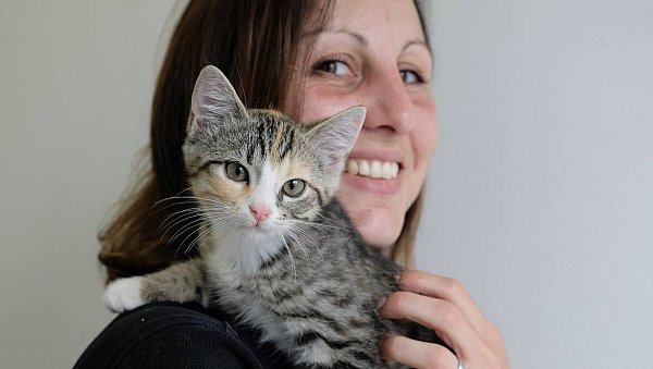 Der kleine grau mit orange getigerte Kater wurde "Mazda" getauft, ist zwölf Wochen alt und jetzt in der Obhut von Tierpflegerin Stefanie Schreiber im Tierheim Lübbecke. - © Heike von Schulz