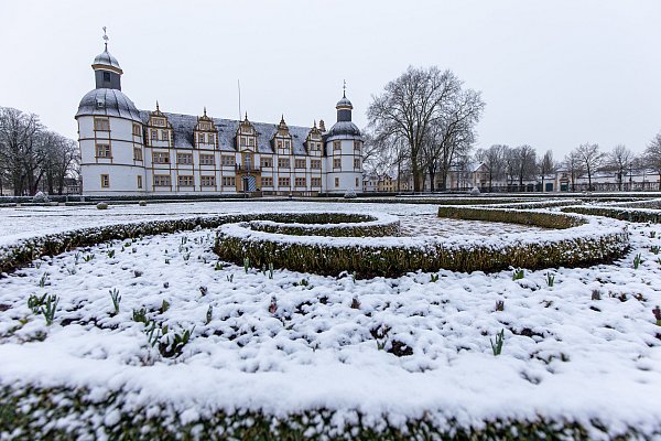 Der AfD-Neujahrsempfang findet im Schloss Neuhaus statt. - © Niklas Tüns (Archivfoto)