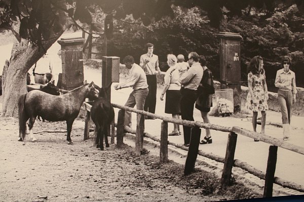 Der Tierpark Olderdissen ist seit Jahrzehnten beliebt. 1973 entstand das Foto. - © Möller/Stadtarchiv Bielefeld