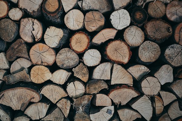 Die Holzscheide bei Dornberg Brennholz haben eine Länge von etwa 25 bis 33 Zentimetern. - © Unsplash