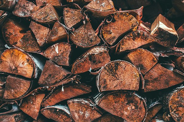 Bei Brennholz Herford gibt es Buche, Eiche und Esche. - © Unsplash