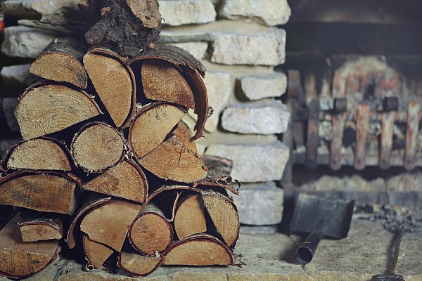 Buchenholz aus umliegenden Wäldern: Das gibt es bei Brennholz Höxter. - © Unsplash