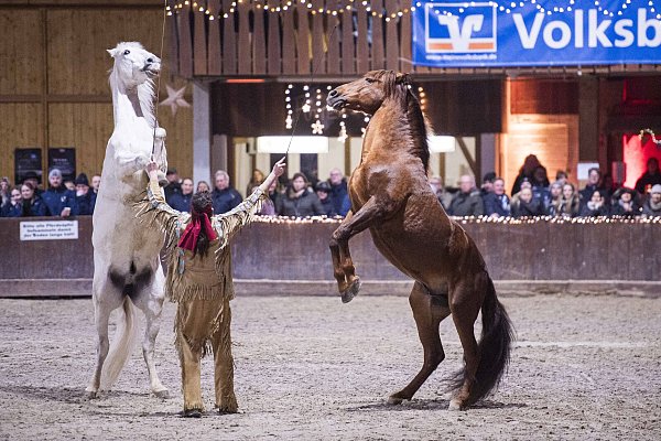 Früher traten diese französischen Showreiter in der Buffalo Bills Wild West Show im Disneyland Paris auf. Im Jahr 2023 waren sie beim Gala-Abend zu Besuch. - © Noah Wedel