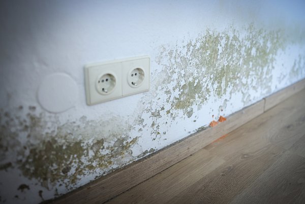 Beispiel Wasserschaden: Hat sich schon Schimmel gebildet und den Wandschrank ruiniert, ersetzt die eigene Hausratversicherung den Schrank. - © Sarah Jonek