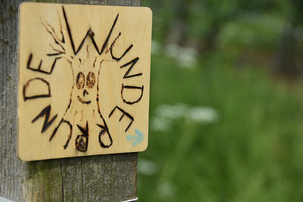 In diesem Wunderwald gibt es für Familien und Kinder jede Menge zu entdecken. - © Julia Fahl