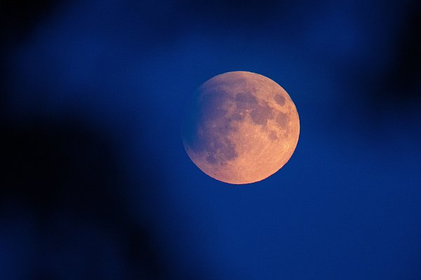 Der letzte Vollmond eines Jahres wird auch als "Cold Moon" oder "Julmond" bezeichnet. - © picture alliance/dpa/dpa-Zentralbild