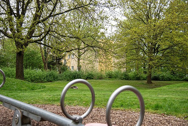 Gegenüber vom Kinderspielplatz im Stieghorster Park fand eine Spaziergängerin den teilweise verbrannten Hund. - © Felix Brenneke
