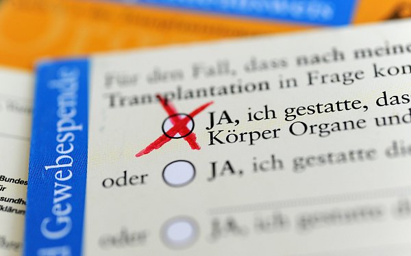 Mit einem Organspendeausweis kann jeder seine Entscheidung für oder gegen eine Organspende einfach dokumentieren. - © picture alliance/dpa