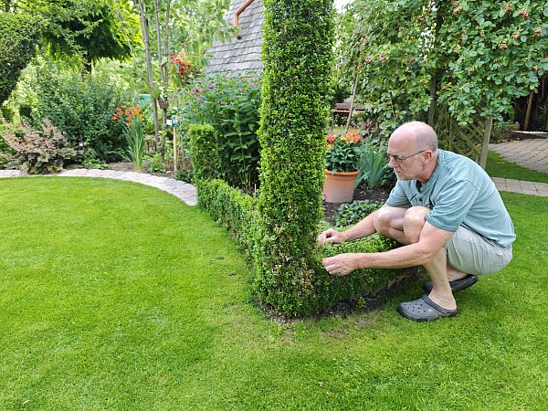 Buchsbaumfan Ludger Jochmaring aus Brakel kümmert sich um seine liebsten Pflanzen. - © Svenja Ludwig