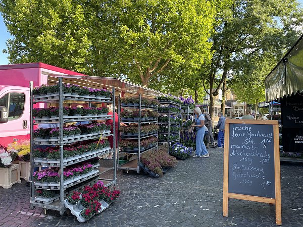 Sehr beliebt ist der Blumenstand auf dem Wochenmarkt in Espelkamp. Hier gibt es eine Viefalt von Schnitt- und Topfblumen für die Vase oder den Garten. - © Heike von Schulz