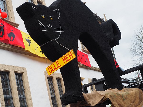 Olle meh in Nieheim: „Am Rosenmontag zieh’n wir wieder mit der Katze durch die Stadt.“ - © Josef Köhne
