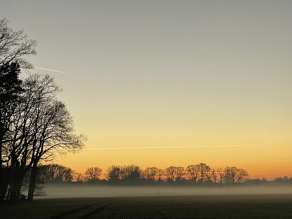 Einer der wenigen sonnigen Tage im Dezember geht in die Nacht über. In der Dämmerung zieht Bodennebel über den Feldern auf, hier zwischen Espelkamp und Hille. - © Heike von Schulz