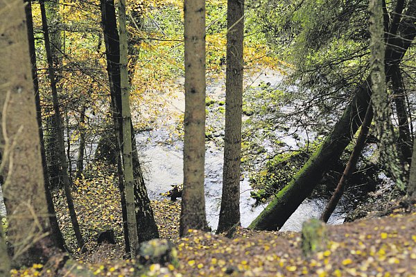 Blick ins Bachtal: Immer wieder führt der Weg hoch über den Furlbach, manchmal aber auch ganz nah dran. - © Patrick Herrmann