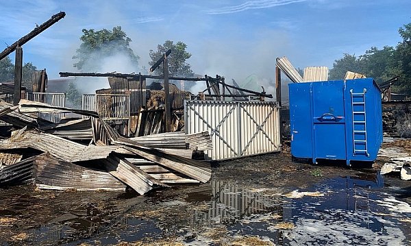 Sieben Pferde starben bei dem Feuer. - © Freitag-TV