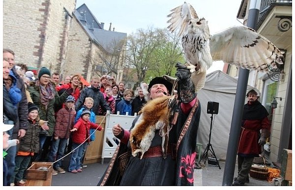 Wenn Kari, der sibirische Uhu, seine Flügel spannt, kommen 160 Zentimeter Spannbreite zusammen. Tatjana Kosfeld zeigt den interessierten Zuschauern, was der majestätische Greifvogel alles kann. Mit dabei hatten sie und ihr Mann Stefan Kosfeld (r.) noch einen Waldkauz, einen Virginia Uhu und eine Schleiereule.