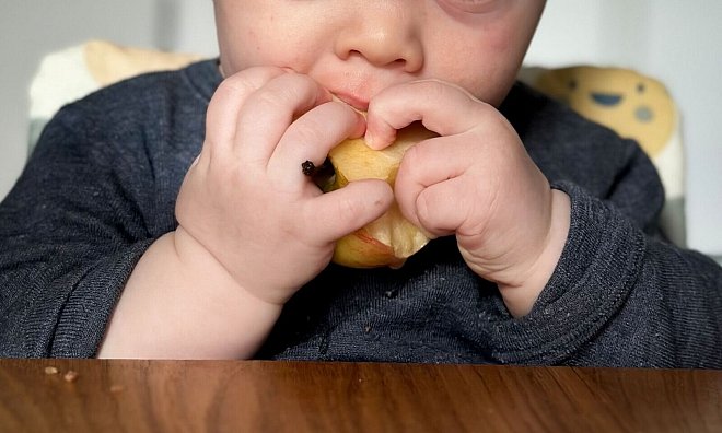 Ein ganzer Apfel ist für kleine Kinder zum Abnagen oft besser geeignet als Apfelstücke: Die Handhabung fällt leichter und das Verschluckrisiko sinkt. - Zacharie Scheurer/dpa-tmn