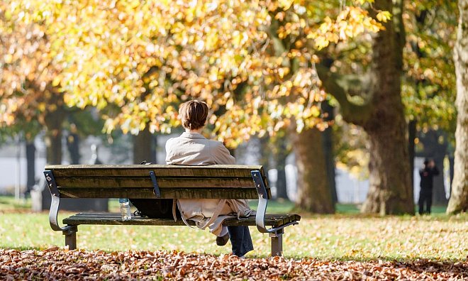 Sonnenschein und milde Temperaturen - das gute Wetter im November hat laut alten Bauernregeln einen Einfluss auf die Ernte. - Markus Scholz/dpa
