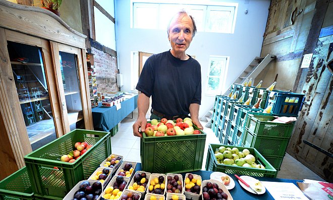 Macht Lust aufs Naschen: In der Sonne gereiftes Obstsortiment von Hans-Joachim Bannier. Die Pflaumensaison geht zu Ende, stattdessen reifen jetzt die unterschiedlichen Apfelsorten. - Andreas Frücht