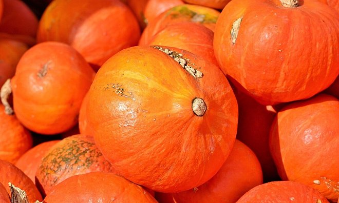 Herbst ist Kürbiszeit: Auch für unsere Redakteure. - Symbolfoto: Pixabay/Ralphs_Fotos