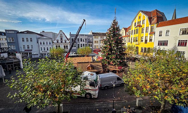 Der Weihnachtsbaum auf dem Alten Markt steht bereits und ist auch schon geschmückt. Noch leuchten aber keine Lebenslichter an ihm. - Kathrin Weege