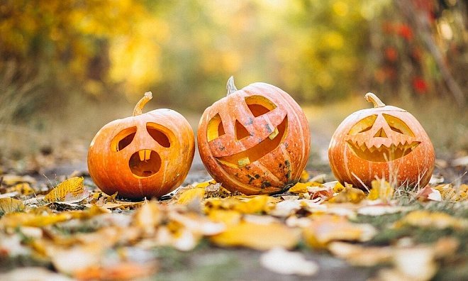 Drei Kürbislaternen stehen im Herbstwald und läuten die Halloween-Saison ein. - Mayur Gadge/Pixabay