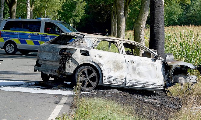 Bei einem Verkehrsunfall auf dem Alten Hellweg (K37) in Höhe Gut Wilhelmsburg ist am Samstagvormittag ein Audi gegen einen Straßenbaum geprallt. - Neue Westfälische