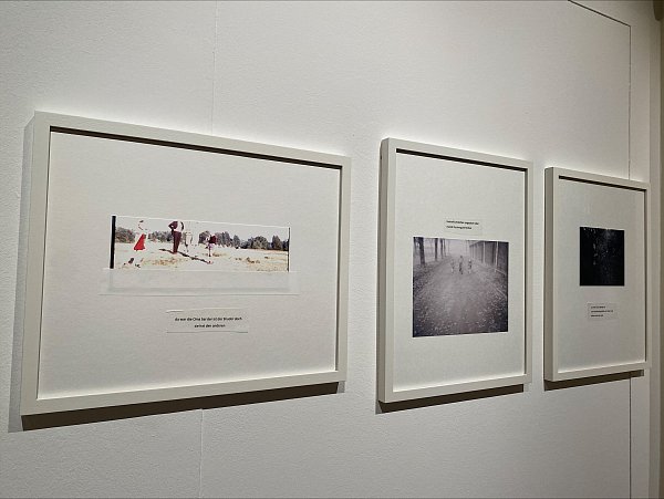 Die Künstlerin Dagmar Boenigk gibt mit ihrem Bildgedicht Einblicke in die Krankheit Demenz. - © Selin Meier