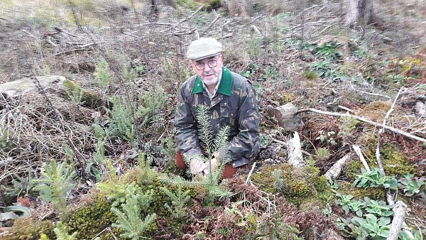 Lichtblick: Forstdirektor Michael Funk freut sich über eine Stelle mit so genannter Naturverjüngung, wo sich kleine Douglasien selbst ausgesät haben. - © Burkhard Battran