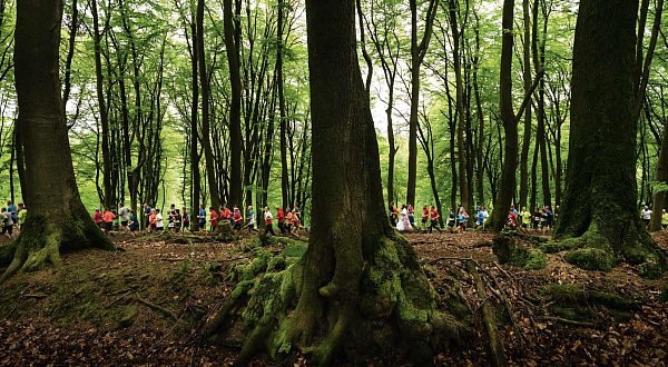 Sport im Teuto. - © My Bielefeld