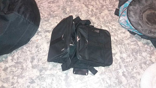 Nahezu verschlossen: In dieser Tasche wurde das Katzenbaby gefunden. - © Stefanie Welslau