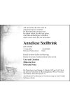 Traueranzeige für Anneliese Stellbrink 