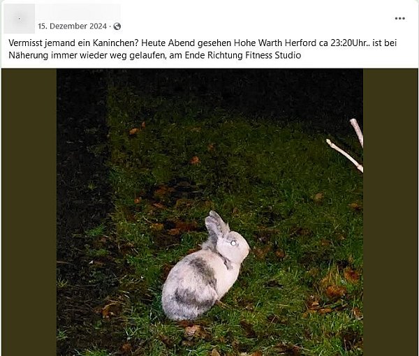 Auf Facebook kursieren Bilder, die ein Kaninchen bereits Mitte Dezember rund um das Herforder "All inclusive"-Fitnessstudio zeigen sollen. - © Screenshot: Facebook