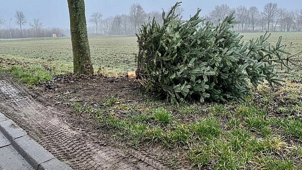 Auch in Rietberg sammeln diverse Vereine die ausgedienten Tannen im Anfang des Jahres ein. - © Stadt Rietberg