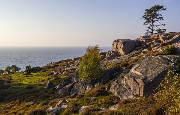 Zwischen Heidekraut und Adlerfarn: Das Naturgebiet Slotslyngen lockt mit zahlreichen Wanderwegen - © Kennet Hult