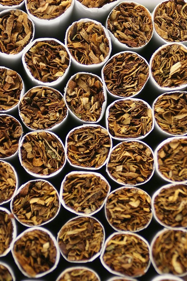 Ein teurer Fund für die Fahnder. - © picture alliance/dpa (Symbolbild)