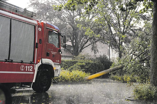 Einsatzreicher Abend: 75 Mal musste die Feuerwehr vor allem wegen umgestürzter Bäume ausrücken. - © Karin Prignitz