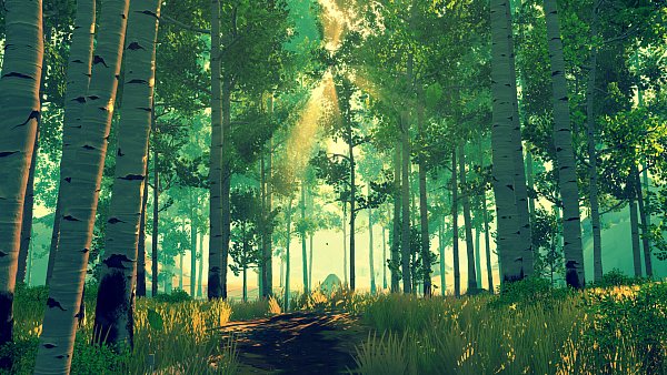 Ein Sonnenstrahl durchbricht das dichte Blätterdach des Shoshone National Forests – Schauplatz des emotionalen Abenteuers Firewatch. - © Campo Santo