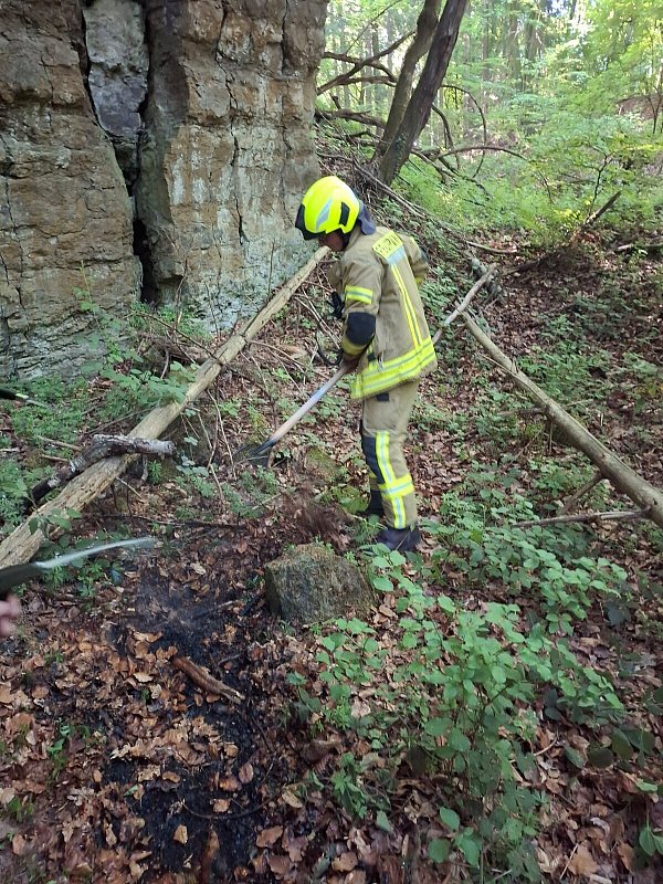Mit einer Dunggabel wurde der Waldboden nach dem Löschen umgewälzt und so noch einmal genau auf mögliche Glutnester kontrolliert. - © Feuerwehr Rödinghausen