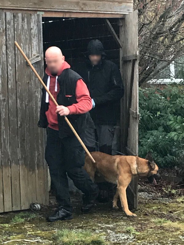 Ermittler durchsuchen das Gehöft in Hille. - © Stefanie Dullweber