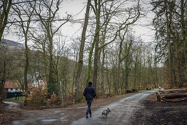 Die ersten Spuren menschlicher Besiedlung sind nach der langen Bergab-Passage am Eingang ins Heidental zu sehen. - © Sarah Jonek