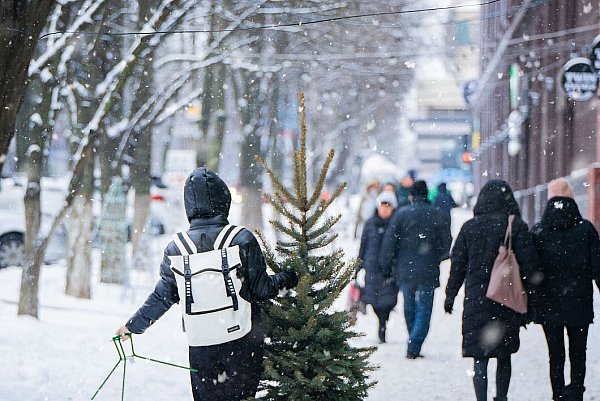 Je nach Religionsgemeinschaft gibt es unterschiedliche Traditionen von wann bis wann der Christbaum aufgestellt wird. - © Pixabay